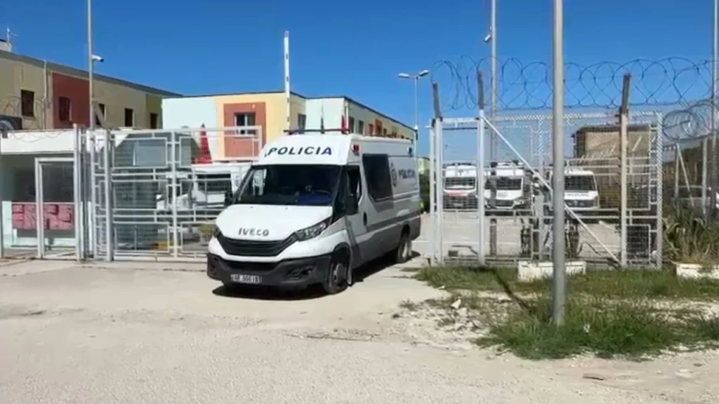  Kopsht zoologjik në burgun e sigurisë së lartë   Deklarata e fortë e gazetarit  Luanë  pitbulla dhe arinj nëpër qeli  janë ndërtuar suita që jepen me qera