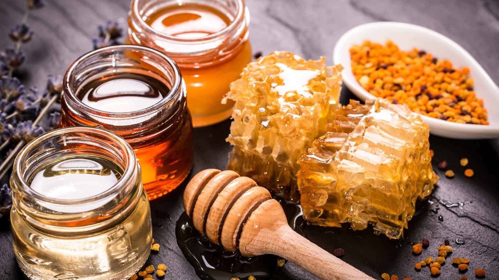 Bletarët në krizë  Moti i prishi sezonin  prodhimi i mjaltit ra ndjeshëm