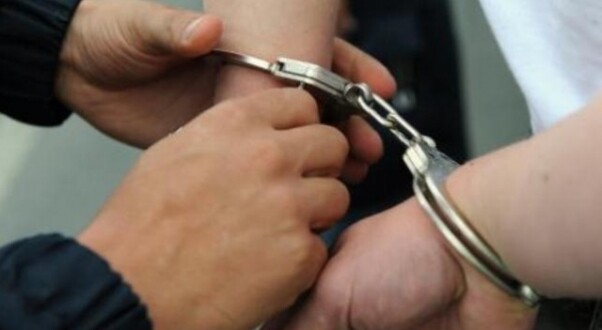Pa patentë  me traktor pa targa dhe dru të prerë ilegalisht  Arrestohet 35 vjeçari 