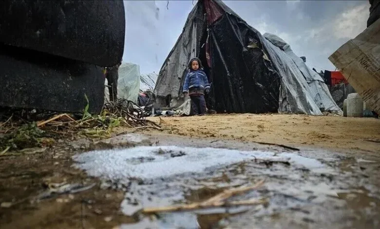 OKB  Furnizimet për strehim në Gaza mbulojnë 17 për qind të nevojave  2 milionë njerëz kanë nevojë për ndihmë