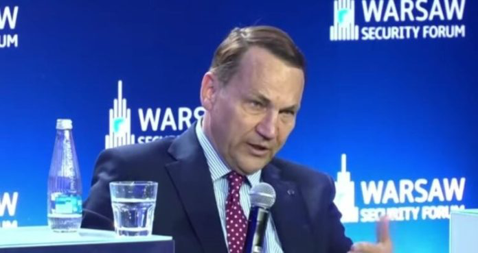 Ministri i Jashtëm polak Sikorski  Evropa  deri në vitin 2030 mund të ketë ushtri të fuqishme